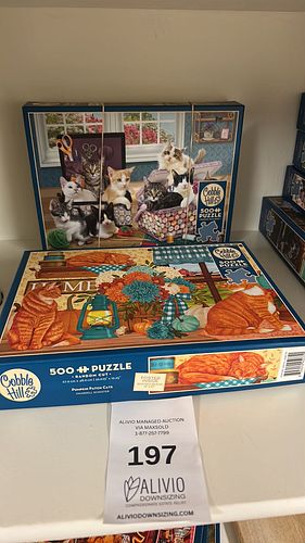 Lot #197 (1 of 2)