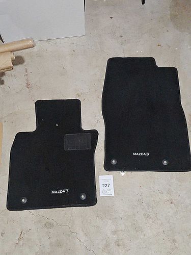 Lot #227 (1 of 1)