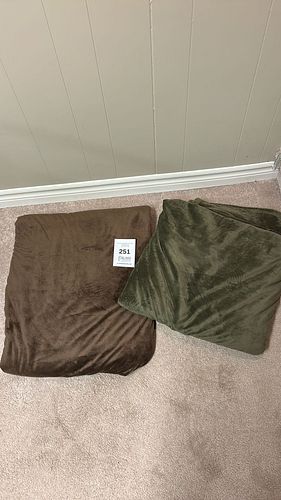 Lot #251 (1 of 2)