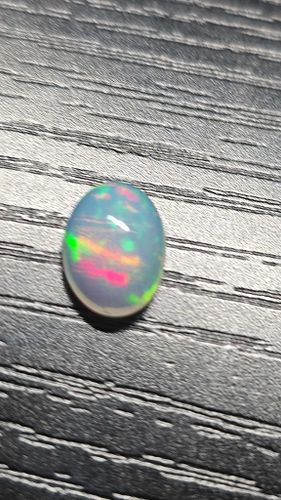 Lot #19 (1 of 6)