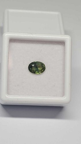 Lot #46 (1 of 10)