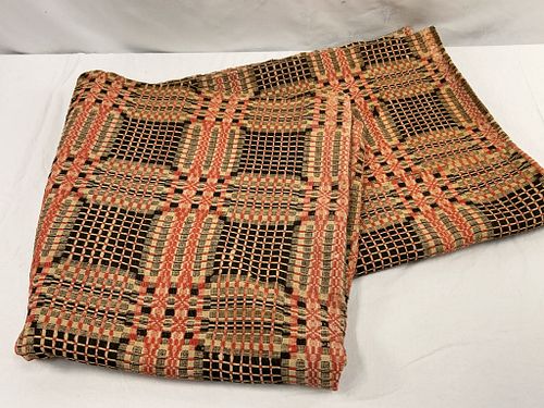 Lot #481 (1 of 3)