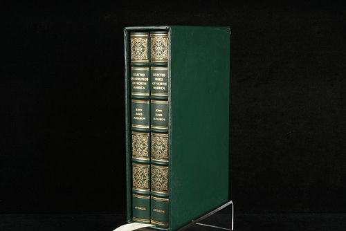 Lot #36 (1 of 20)