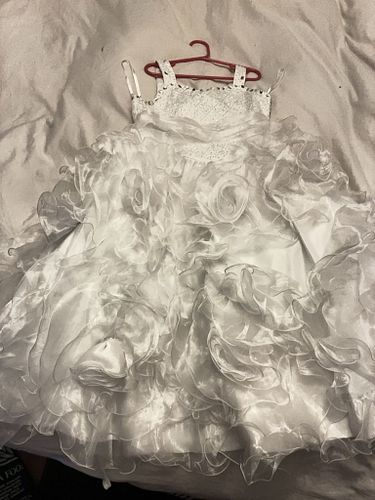 Lot #52 (1 of 6)