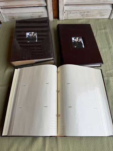 Lot #47 (1 of 3)