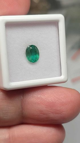 Lot #11 (1 of 11)