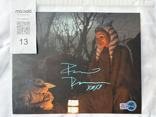 Lot #13 (1 of 5)