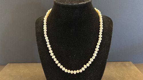 Lot #20 (1 of 7)