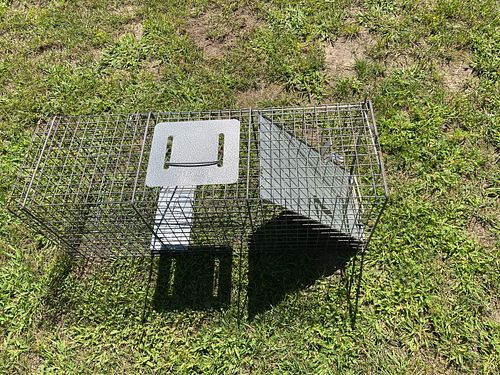 Lot #15 (1 of 2)