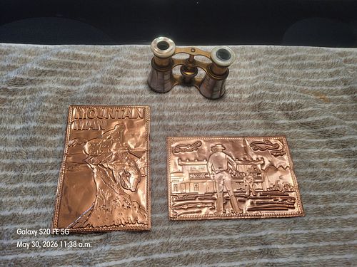Lot #43 (1 of 5)