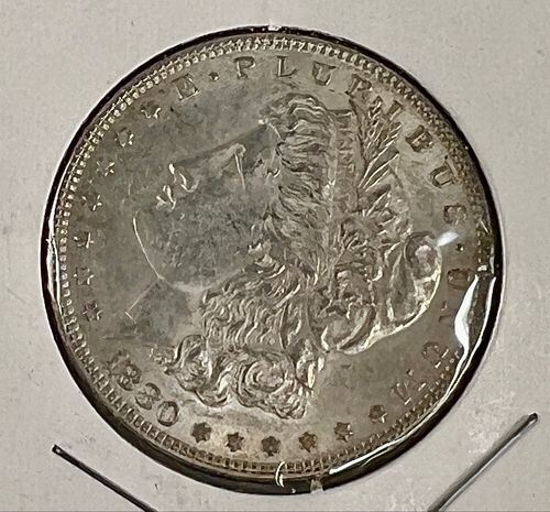 Lot #585 (1 of 2)