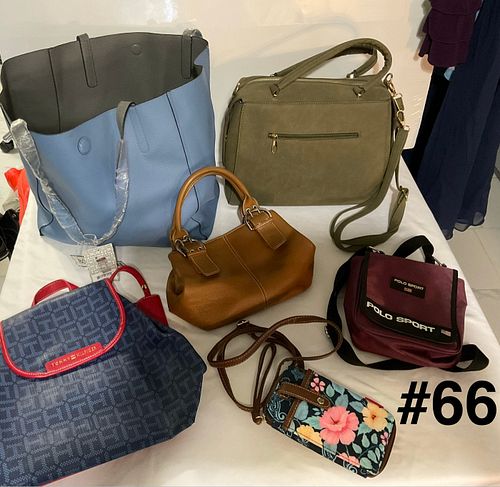 Lot #66 (1 of 16)