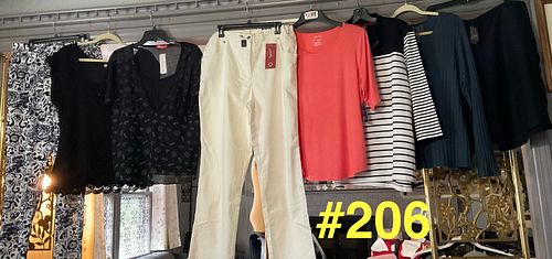 Lot #206 (1 of 9)