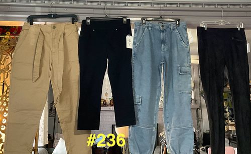 Lot #236 (1 of 17)