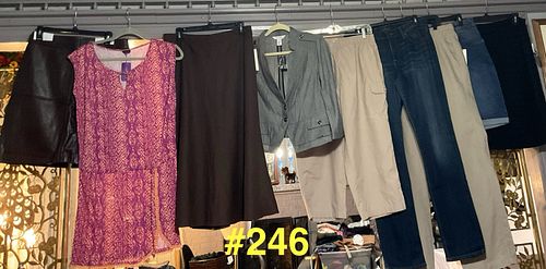 Lot #246 (1 of 18)