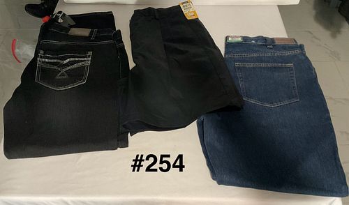 Lot #254 (1 of 10)
