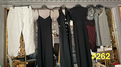 Lot #262 (1 of 19)