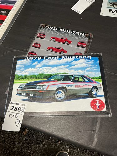 Lot #286 (1 of 3)