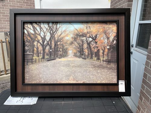 Lot #60 (1 of 4)