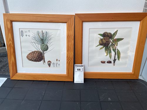 Lot #66 (1 of 4)