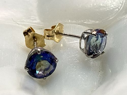 Lot #23 (1 of 12)