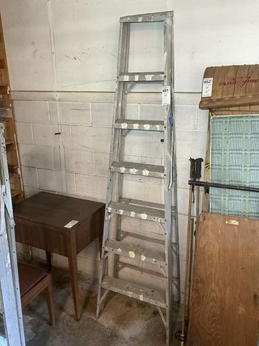 Lot #491 (1 of 5)