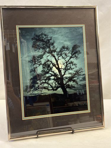Lot #602 (1 of 3)