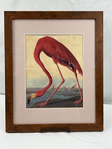 Lot #607 (1 of 5)