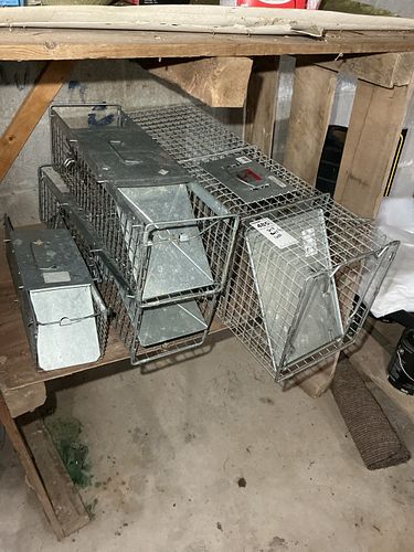 Lot #485 (1 of 7)