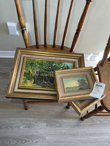 Lot #858 (1 of 11)