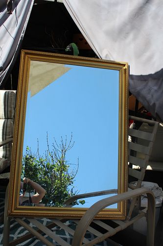 Lot #225 (1 of 3)