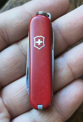 Lot #1 (1 of 4)