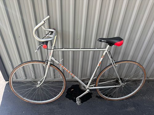 Lot #93 (1 of 13)