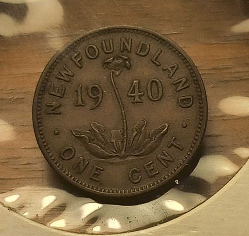 Lot #113 (1 of 3)