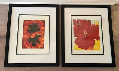 Lot #115 (1 of 7)