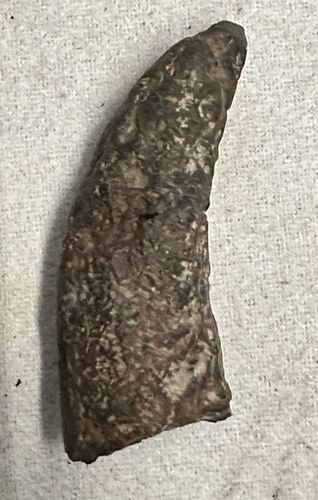 Lot #117 (1 of 7)
