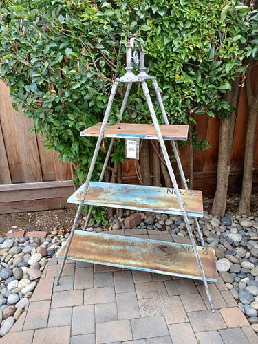 Lot #136 (1 of 6)