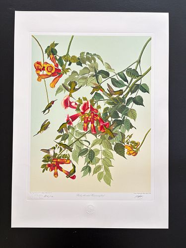 Lot #17 (1 of 10)