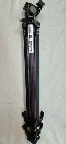Lot #29 (1 of 6)