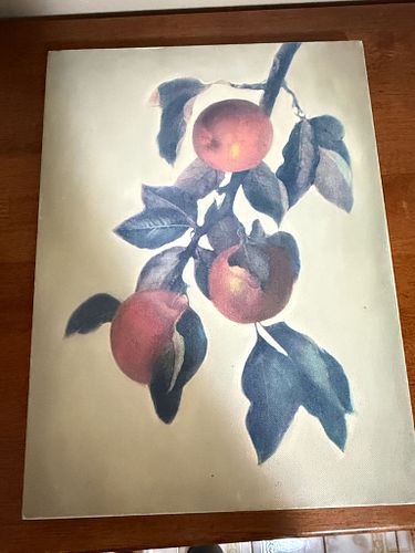 Lot #29 (1 of 6)