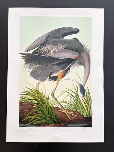 Lot #33 (1 of 10)
