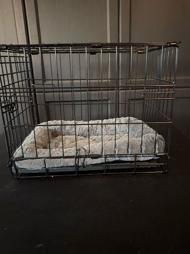 Lot #37 (1 of 3)