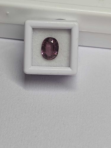 Lot #41 (1 of 12)