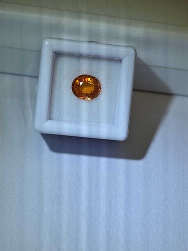 Lot #43 (1 of 11)
