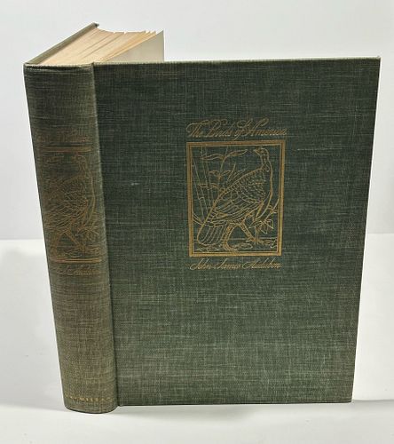 Lot #46 (1 of 20)