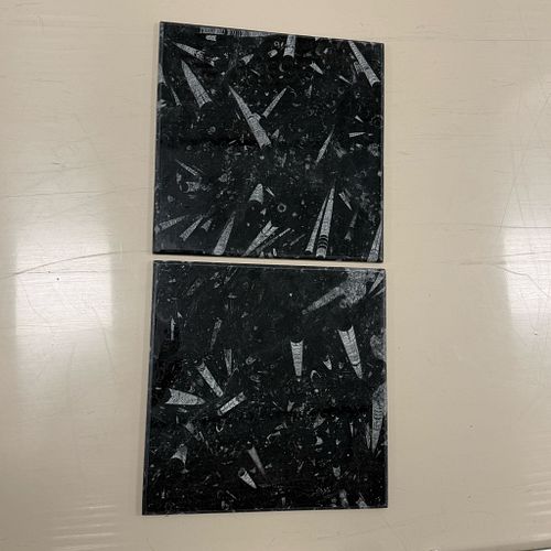 Lot #47 (1 of 14)