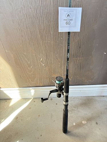 Lot #60 (1 of 9)
