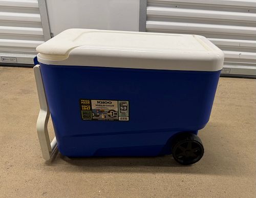 Lot #67 (1 of 6)