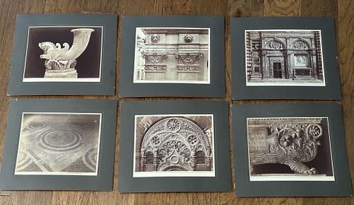 Lot #8 (1 of 14)