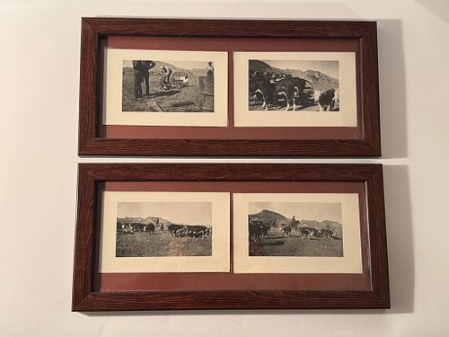 Lot #802 (1 of 11)